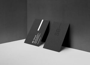 sb brands创意机构品牌形象vi设计